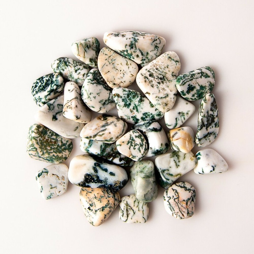 1/4 lb Tumbled Small Tree Agate Gemstone Crystal 35-50 Stones Dendritic Specimen